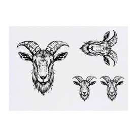 Azeeda 4 x 'Ziegenkopf' Temporäre Tattoos - Wasserfest, Hautfreundlich & Ungiftig · Transfers in Verschiedenen Größen (TO00073274)