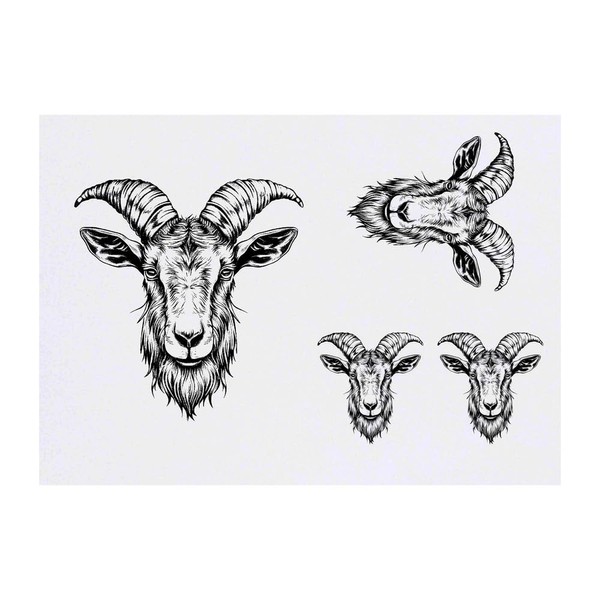 Azeeda 4 x 'Ziegenkopf' Temporäre Tattoos - Wasserfest, Hautfreundlich &