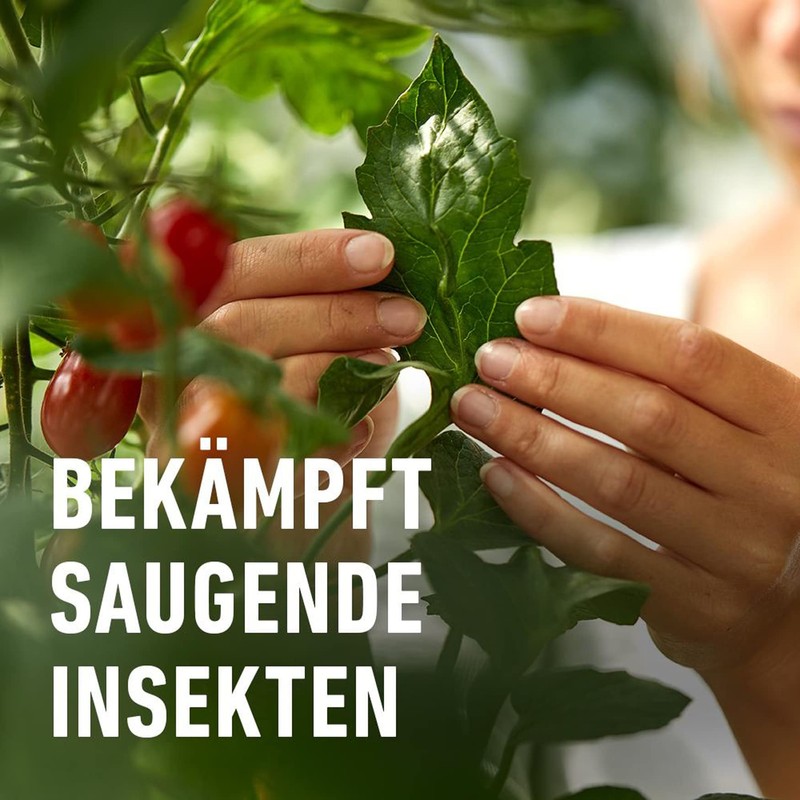 Compo Pest-Free Plus, Single