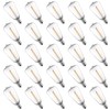25 Pack Edison E12/C7 Low Wattage Outdoor Light Bulbs -