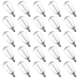 25 Pack Edison E12/C7 Low Wattage Outdoor Light Bulbs - 1W, 2700K, Shatterproof, ST38 Edison LED Bulbs