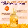 Sea Moss Lemonade Variety Pack – 4 Flavors Sampler: Lemon,