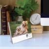 Dogs 2026 Box Calendar