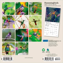 Hummingbirds | 2026 7 x 14 Inch (Hanging) Monthly Mini Wall Calendar | Foil Stamped Cover | Plato | Animals Wildlife