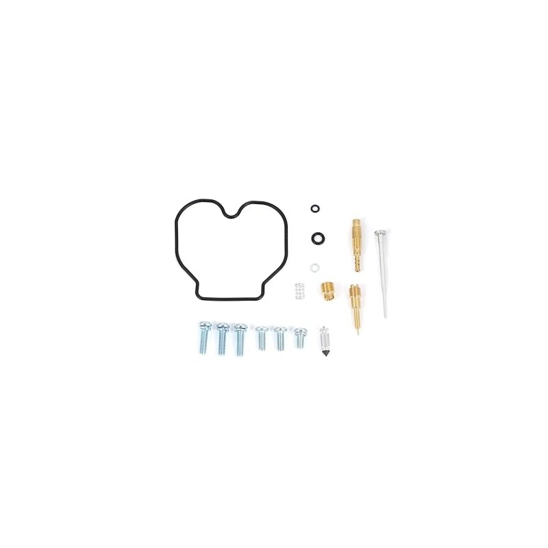 [gu.te-nam.net] Zoomer Carburetor Overhaul Kit, Compatible with DIO AF58 /