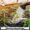 The Environmental Factor Nematodes Organic Insect Control Pot Popper, Controls