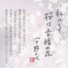 Uno Chiyo Incense Sticks, 36 Sticks, Incense Sticks, Incense Holder,