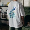 MAYJOYDIY Peacock Stencil 11.7×8.3inch Large Peacock Drawing Stencils with Paint