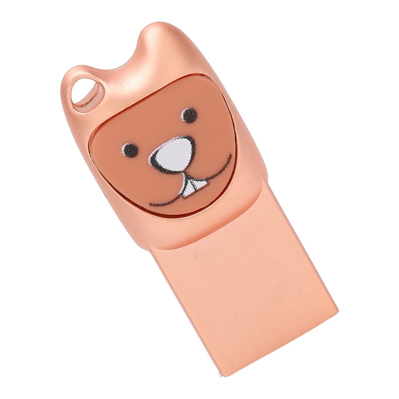 USB2.0 Flash Drive Cute Cartoon Portable Memory Stick with Adapter
