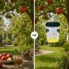 Solar LED Wasp & Fruit Fly Trap – Reusable Hanging