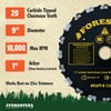 FORESTER Carbide Tip Chainsaw Brush Cutter Blade - 9in x