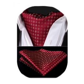 HISDERN Men's Tie Scarf Floral Paisley Ascot Tie Wedding Business Neckerchief and Pocket Square Set, Z01-Red & Gold