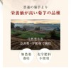 オーガライフ 紫 菊芋パウダー 国産 風土日和 イヌリン 無添加 無農薬 食物繊維 100g