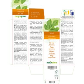 Fig (Ficus Carica) Alcohol-Free Bud Extract from Fresh Buds Naturalma Liquid Extract Drops 200 ml Dietary Supplement Vegan