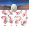 3D Printed Baby Dragon with Dragon Egg, Articulated Clover Crystal