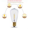 ST38 E17 Base LED String Light Bulbs 0.65W LED Edison