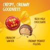 Bon o Bon Chocolate Bon Bons, Decadent Chocolate Truffles with