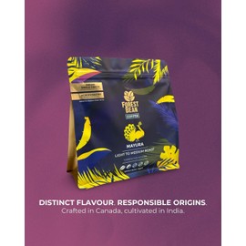 Forest Bean Mayura Coffee, 100% Arabica, Single-Origin Indian, LIGHT TO MEDIUM ROAST, 340g Whole Bean Bag