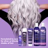 Shiny Silver Ultra Shampoo Conditioning 12oz (2 Pack)