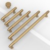Coinkoly 10 Pack Champagne Bronze Cabinet Pulls Knurled Cabinet Knobs