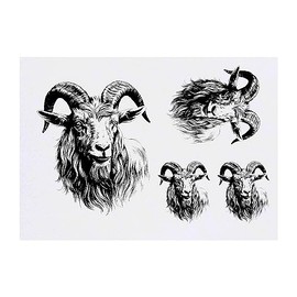 Azeeda 4 x 'Ziege' Temporäre Tattoos - Wasserfest, Hautfreundlich & Ungiftig · Transfers in Verschiedenen Größen (TO00062490)