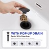 Kablle Bathroom Sink Faucet with Pull Down Sprayer, Matte Black
