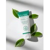 Exfoliante Facial Tea Tree, Limpieza Profunda, con Aceite Esencial de