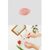 【No Cleansing Required】akyrise (あきゅらいず) Iroha Lip Color Conditioner Lip Lips