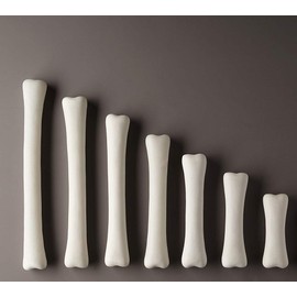 Yellow Door YUS1033 Dinosaur Bones Match and Measure, Set of 16, Multi