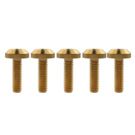 Ruifu Hex Socket Head Cap Screws, Titanium Alloy, Available in M6 x 12/15/20/25/30/35 mm, M8 x 15/20/25/30/35/40 mm, For Bicycles &amp; Motorcycles, Wheels, License Plate Mounting Bolts, Set of 5 (M8 x 20 mm, Gold)