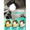 OMAYKEY 12W Dimmable Large LED Globe Opal Glass Bulb, 5000K
