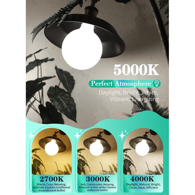 OMAYKEY 12W Dimmable Large LED Globe Opal Glass Bulb, 5000K