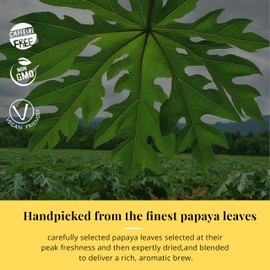 Fresh Papaya Leaf Tea, 75 Organic Papaya Tea Bags, Te de papaya Secas, Papaya Herbal Tea, from 100% Loose Leaf Papaya Tea, Non-GMO, Caffeine Free.