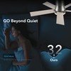Rayqueen 42 Inch Ceiling Fans with Lights and Remote,Flush Mount