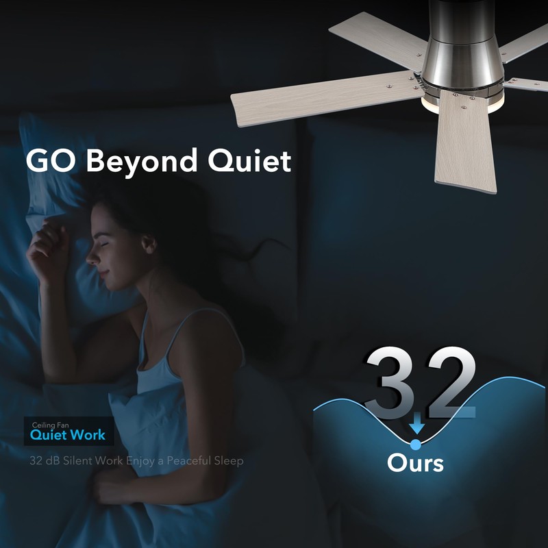 Rayqueen 42 Inch Ceiling Fans with Lights and Remote,Flush Mount