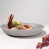Aomiun Camping Utensil Set, Titanium Plate and Folding Fork Spoon