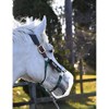 Thinline Flexible Filly Slow Feed Grazing Muzzle - Clear PVC,
