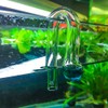 IAFVKAI Glass CO2 Drop Checker Aquarium Hang On CO2 Monitor