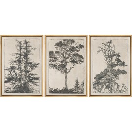 SIGNWIN Framed Canvas Print Wall Art Set Vintage Botanical Tree Sketch Antique Forest Illustrations Modern Art Decorative Abstract for Living Room, Bedroom, Office - 24"x36"x3 Natural