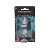 WizKids D&D Nolzur's Marvelous Miniatures: Human Fighters Unpainted Dungeons and