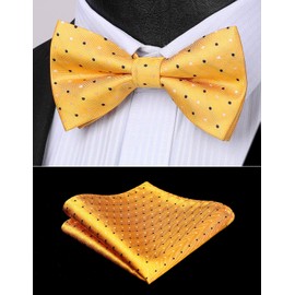 HISDERN Bow Tie for Men Yellow Bowties Polka Dot Pre-Tied Bowtie and Pocket Square Bow Ties Set Formal Tuxedo Handkerchief Bowties for Wedding Party