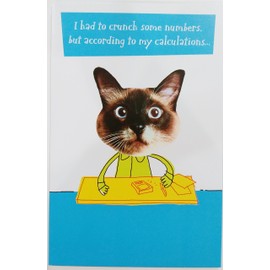 "According to my calculations - You're still young - ish" - Funny Humor Getting Older Aging Happy Birthday Greeting Card w/Cat