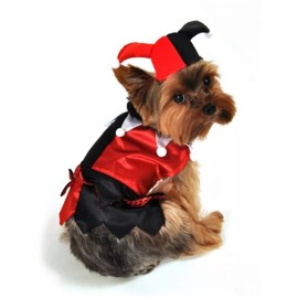 Anit Accessories Jester Dog Costume by Anit Accessories  ~ Size Small