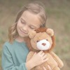 World's Softest Plush Lion, Lushee, Large, 16" Stuffed Animal for