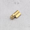 Pack of 2 Tow Bar Lock with 4 Replacement Keys