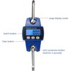 Digital Crane Scale, 300 kg 660 lbs Electronic Hanging Scale,