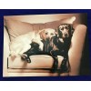 Avanti Greetings Romance Greeting Card "I love doing nothing, as