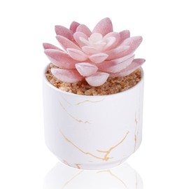 ZENIDA Succulent Artificial Plants,Cute Fake Succulents in 1 White Ceramic Pots,Small Fake Plants for Office,Table,Desk,Bathroom, Bedroom,Aesthetic Room Shelves Decor,Desk Decorations for Women Office