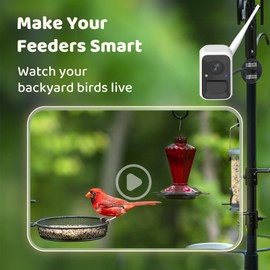 NETVUE by Birdfy Upgraded Smart Bird Feeder Camera, Solar Powered, Auto Bird Video Capture, Instant Notifications, AI Identify 6000+ Species