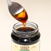 Langer Farms Pure Apple Honey, Vegan Honey Sweetener Substitute, Made